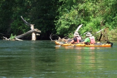 IMG-20260727-WA0038