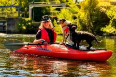 IMG-20260730-WA0004