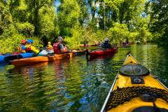 IMG-20260730-WA0012