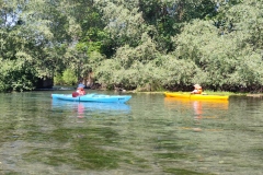 IMG_20220521_110941