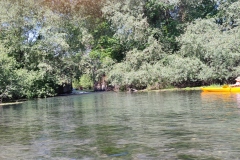 IMG_20220521_111004