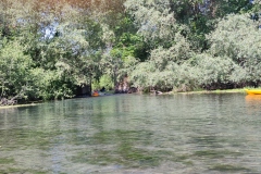 IMG_20220521_111011