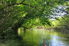 IMG_20220521_112020