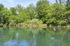 IMG_20220521_125821