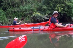 IMG-20210801-WA0005